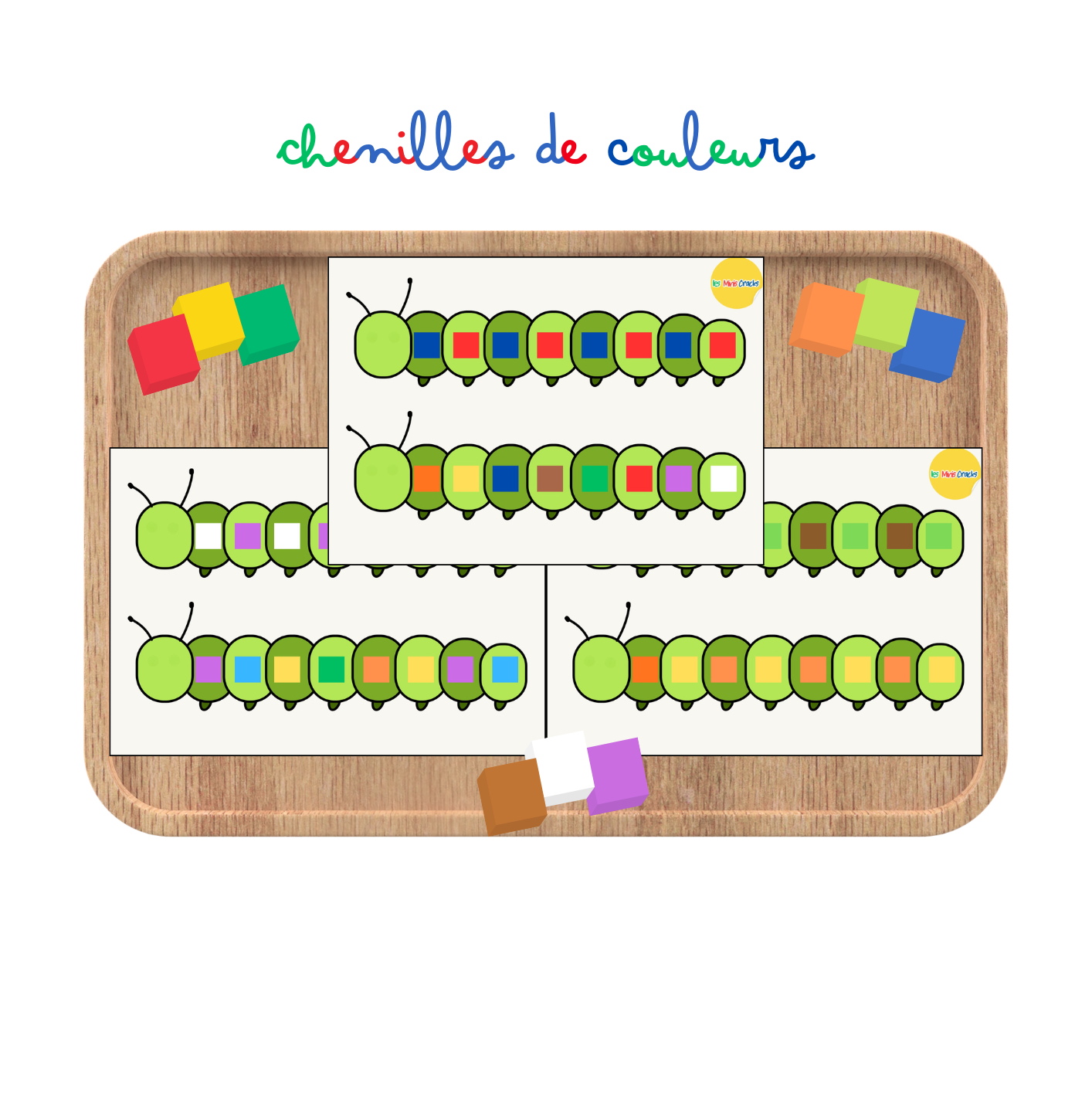 Activité : atelier chenilles de couleurs