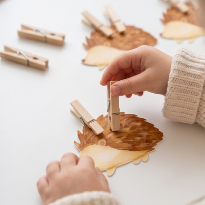 Activité : Atelier montessori - Les hérisson à pinces