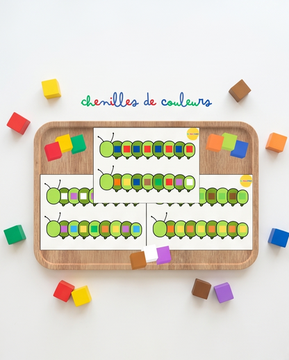 Activité : atelier chenilles de couleurs